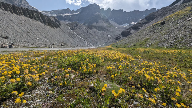 18 juillet 2023. Dans les années 1970 il y avait encore 80 mètres de hauteur de glace à cet endroit