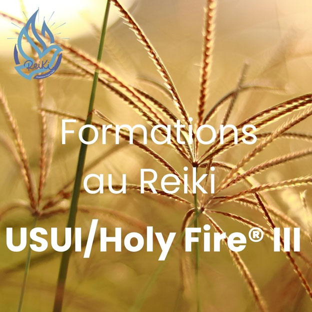 Les formations au Reiki Usui/Holy Fire® à Tours