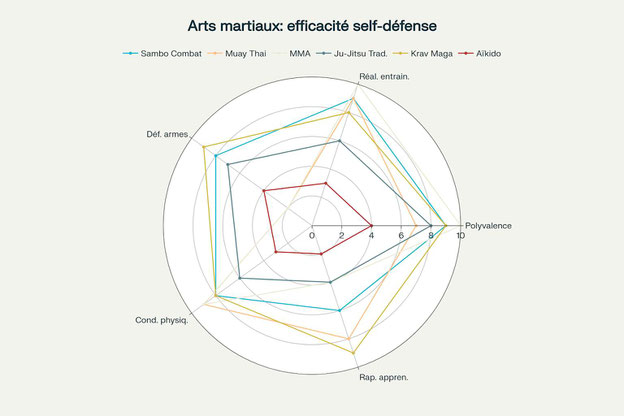 Arts martiaux : efficacité self-défense