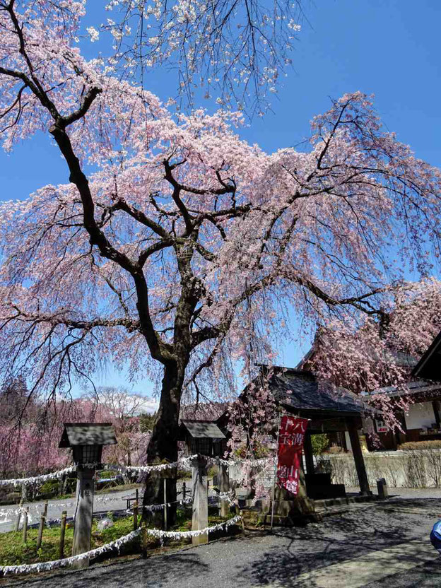 白河市 南湖神社