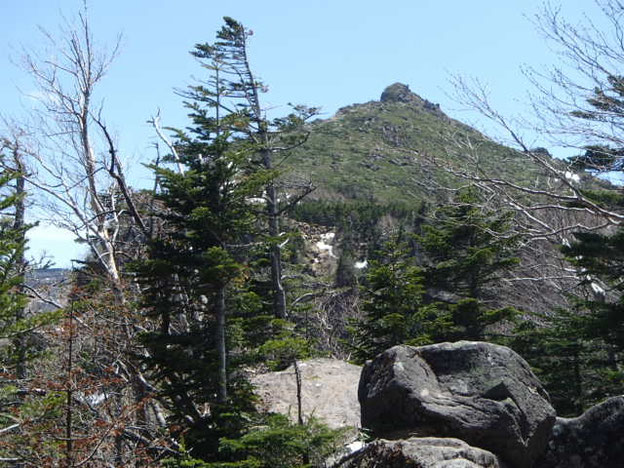 天狗岳 登山 ガイド