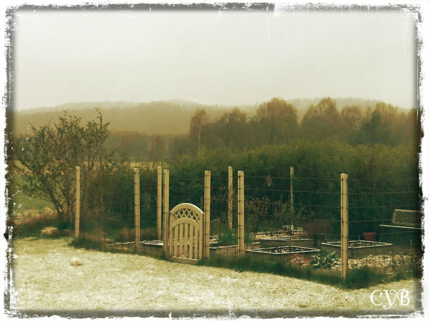 Köksträdgården i snö 11 Maj... Brrr...