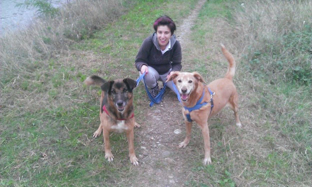 Erinnerung an glückliche Stunden, soweit es die im Tierheim geben kann: Luna und Charly im Oktober 2014 beim Spaziergang mit Elena Saleri. Danke, an Elena, die uns dieses Bild zur Veröffentlichung zur Verfügung gestellt hat.