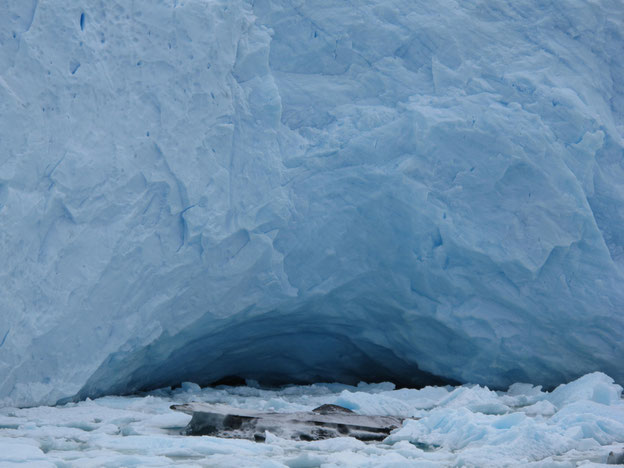 Der Gletscher geht an jeder Stelle ganz bis auf den Boden, aber das Wasser arbeitet immer und stetig an dem Eisriesen und höhlt ihn von unten aus. Ist die Front von oben auch noch total zerklüftet, brechen Teile vom Gletscher ab.