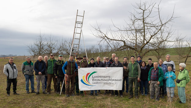 Motivierte Streuobstinteressierte in Gondelsheim. Foto: LEV