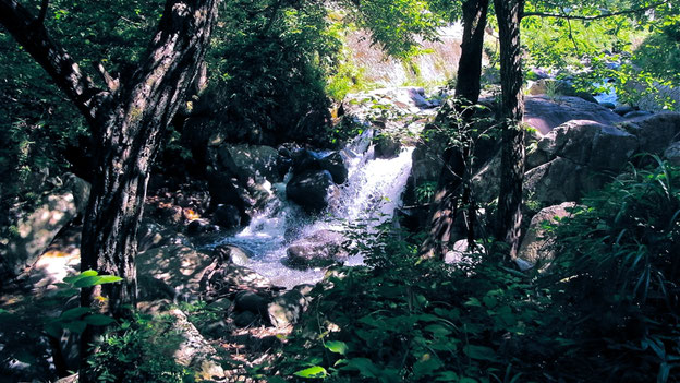 郡上の天然水＆郡上の自然から生まれた石鹸　アトリエキク　