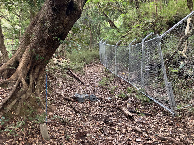 鴨川市　鴨川　メガソーラー　海と山は繋がっている