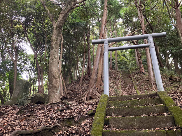 鴨川市　鴨川　メガソーラー　海と山は繋がっている　武田屋作庭店