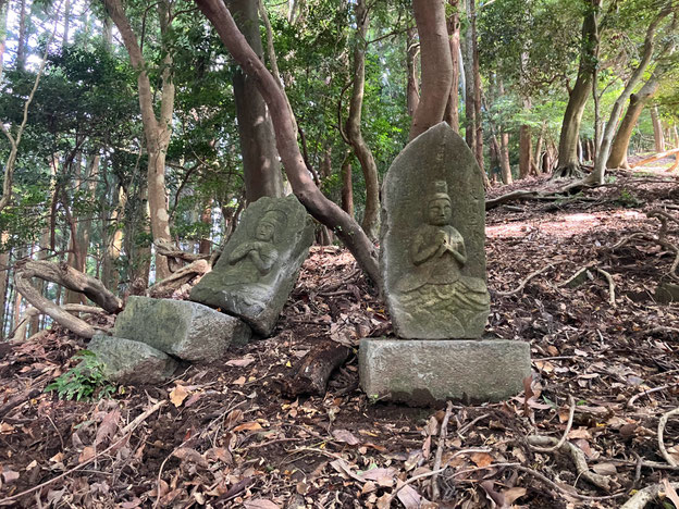 鴨川市　鴨川　メガソーラー　海と山は繋がっている　武田屋作庭店