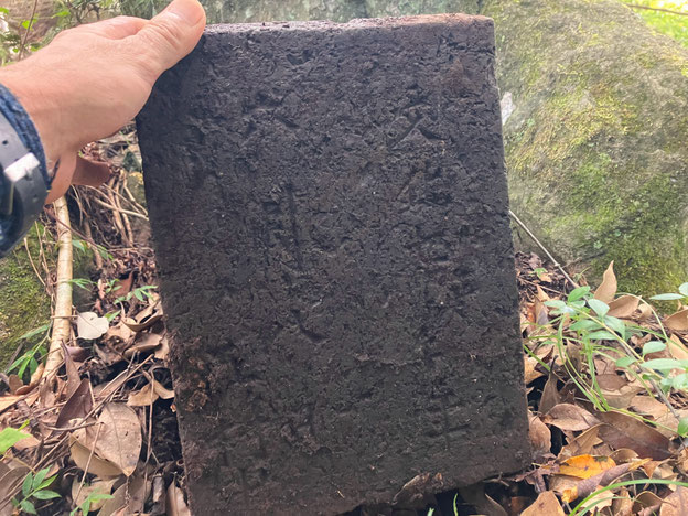 鴨川市　鴨川　メガソーラー　海と山は繋がっている　武田屋作庭店