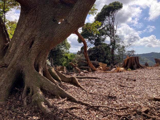 鴨川市　鴨川　メガソーラー　海と山は繋がっている　武田屋作庭店