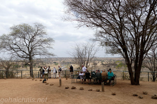 Lunchtime auf dem Picknickplatz inmitten des Nationalparks