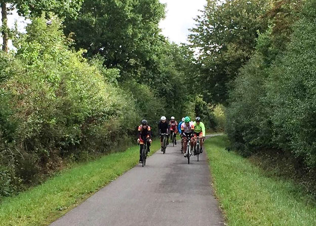 Auf dem Ruwer-Hochwald-Radweg Richtung Trier.