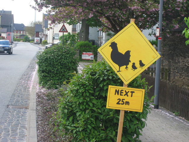 Vorsicht! Hühner mit ihren Kücken kreuzen.