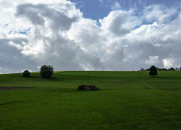 Landschaft genießen