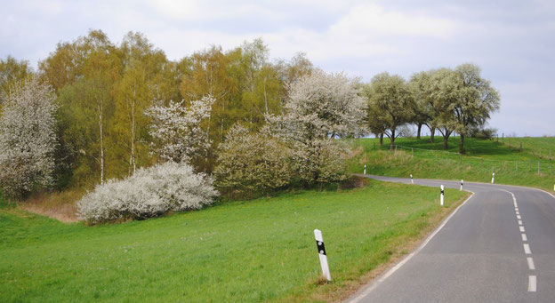Kurz hinter Bell......