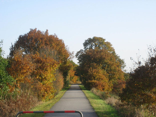 Wieder auf dem Schinderhannes-Radweg