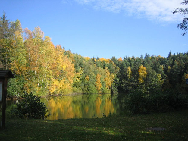 Am Waldsee, Argenthal