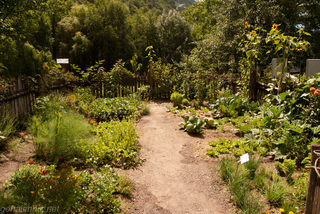 Bauerngarten
