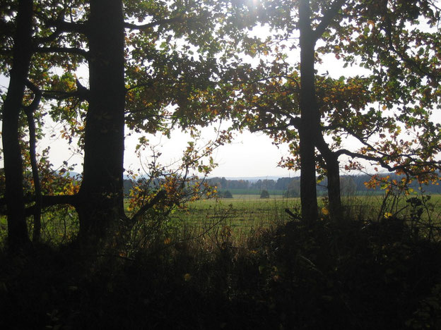 Auf dem Schinderhannes-Soonwald-Radweg im Hunsrück