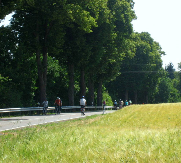 Kurz vor Montabaur
