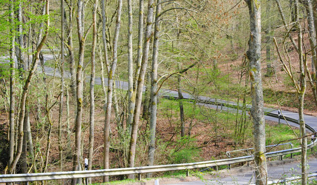 Rauf nach Mörsdorf