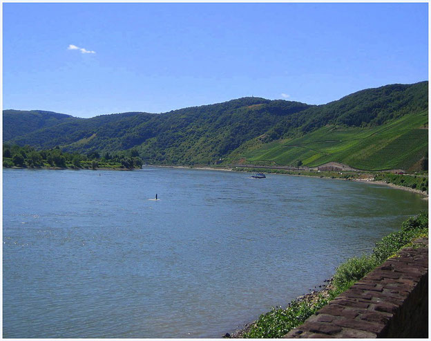 Rhein beim Bopparder Hamm