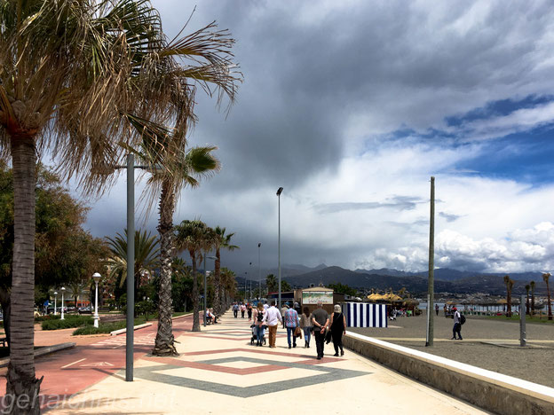 Zurück in Torre del Mar