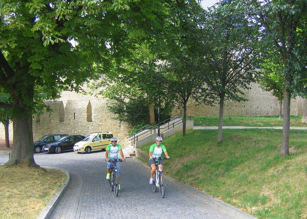 Ober-Ingelheim