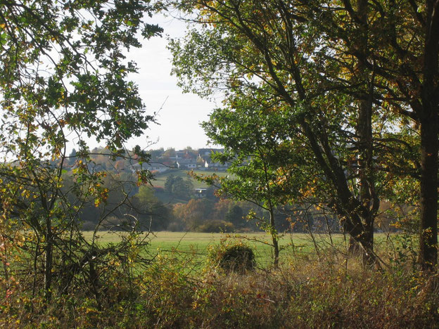 Riesweiler am Schinderhannes-Soonwald-Radweg