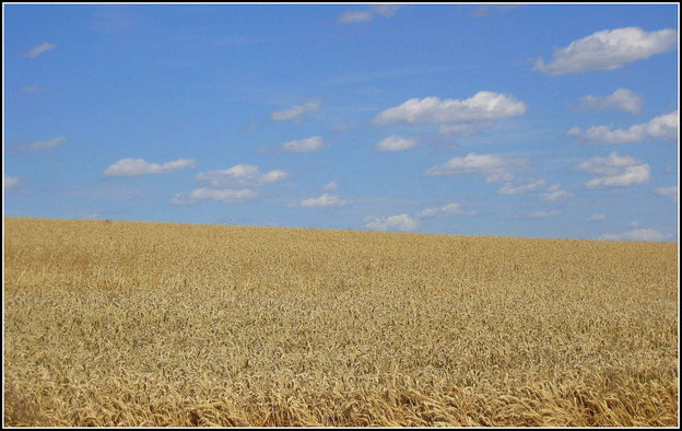 Sommer im Hunsrück