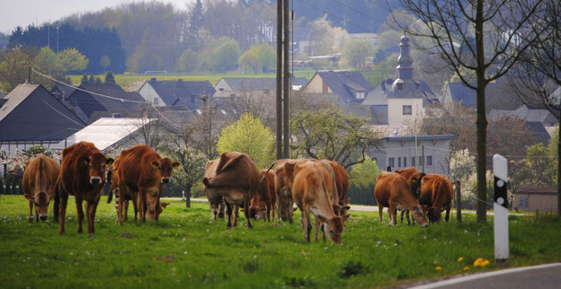Bei Frankweiler