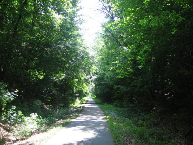 Schinderhannes-Radweg/Hunsrück