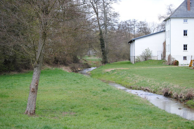 Külzbach bei Neuerkirch/Hunsrück