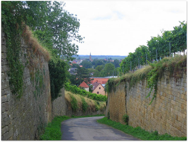 Hier geht's runter nach Deidesheim