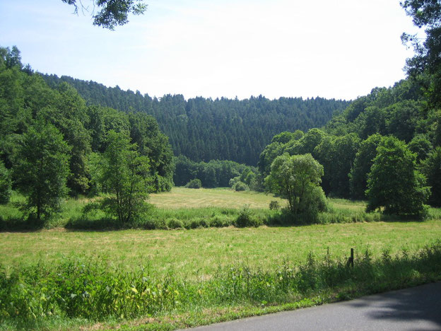 Gelbachtal zwischen Weinähr, Lahn, und Montabaur, Westerwald