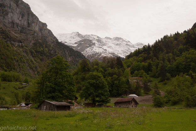 Ausblick von Stechelberg aus auf die Berner Alpen