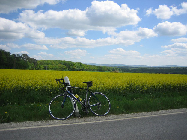 Blick zum Soonwald/Hunsrück