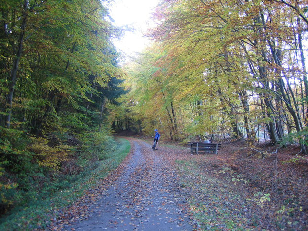 Schinderhannes-Radweg zwischen Hasselbach und Beller Bahnhof