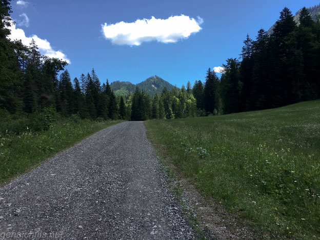 Nicht unbedingt für's Rennrad geeignet, diese Schotterpisten im Rohrmoostal