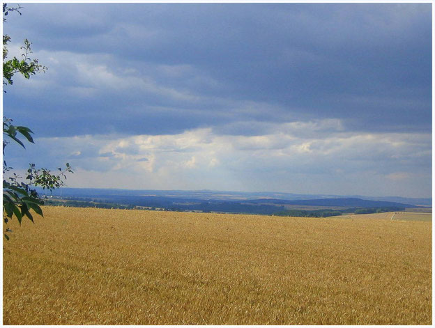 Blick vom Schinderhannes-Radweg (bei Hollnich) bis in die Eifel