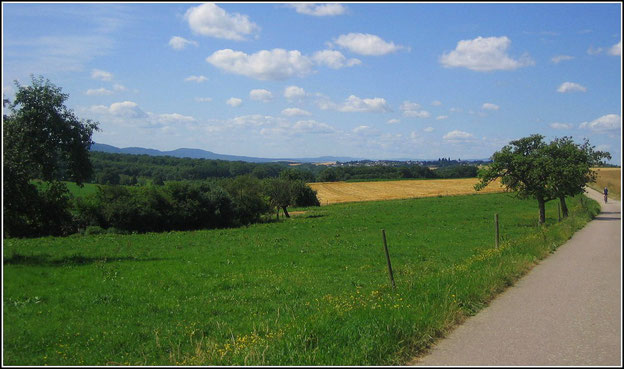 Über den Hunsrück-Radweg bei Argenthal