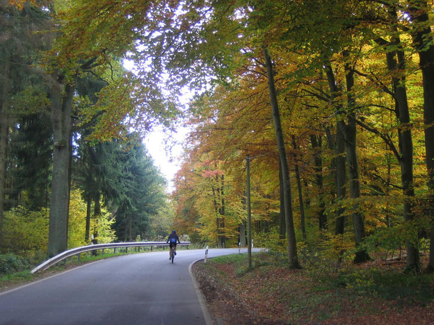 Auf dem Weg nach Budenbach