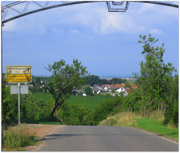 Von Gimmeldingen nach Königsbach