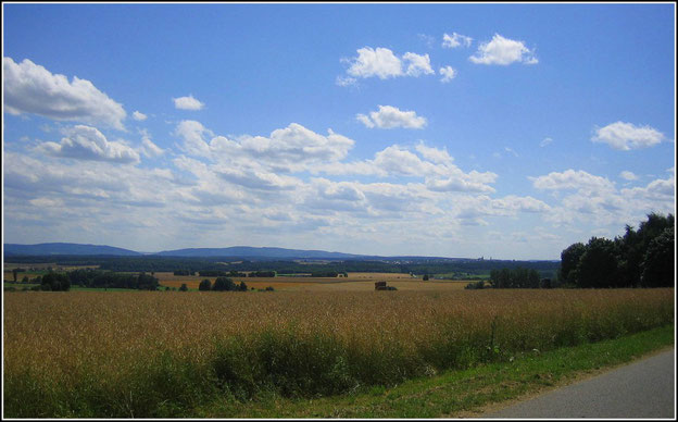 Blick zurück auf den Soonwald