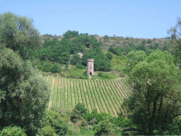 Ajaxturm, ein sagenumwobener Weinbergsturm bei Siefersheim