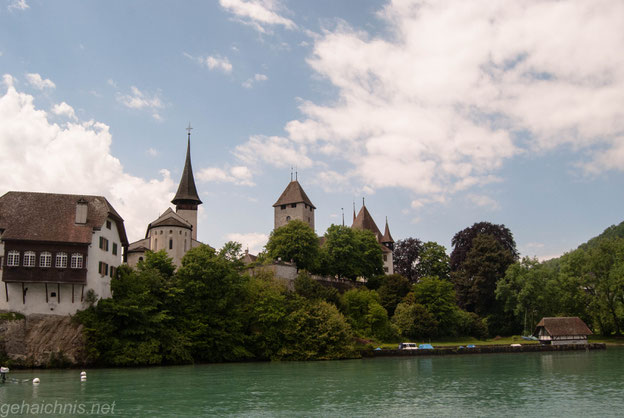 Spiez, Thunersee