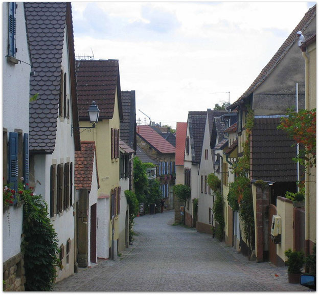 Forst/Dt. Weinstrasse
