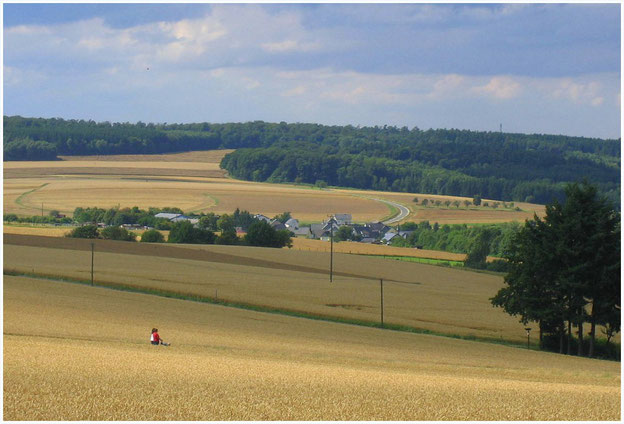 Am Schinderhannes-Radweg bei Lingerhahn, Hunsrück