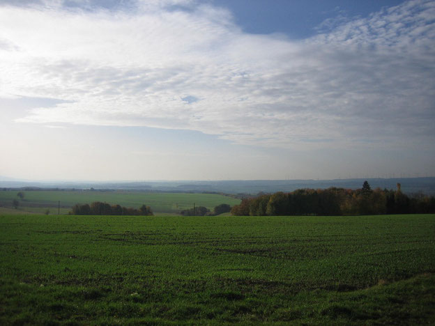 Weitblick - Ausblick - Hunsrück